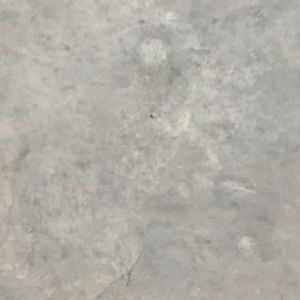 Meet your Posher, Max